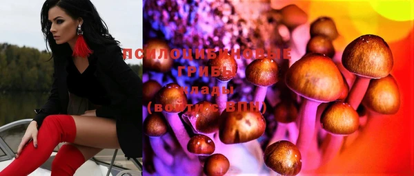 бутират Алзамай