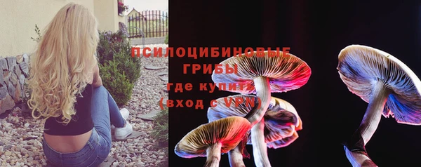 прущий лед Алексин